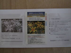 ◆阪急阪神ホールディングス株主優待◆株主回数乗車証(25回カード)1枚◆2024年5月31日まで有効◆
