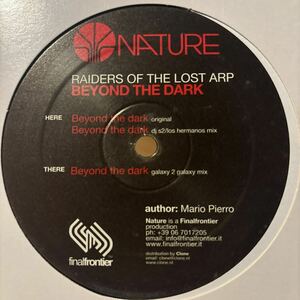 [ Raiders Of The Lost ARP - Beyond The Dark Raiders Of The Lost ARP - Nature Records NAT2135 ] Galaxy 2 Galaxy , Los Hermanos