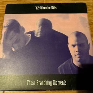 [ Wamdue Kids - These Branching Moments - Peacefrog Records PF059 ]