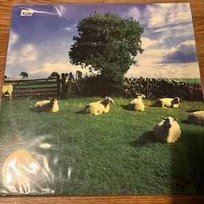 [ The KLF - Chill Out - KLF Communications - JAMS LP5 ]の画像2