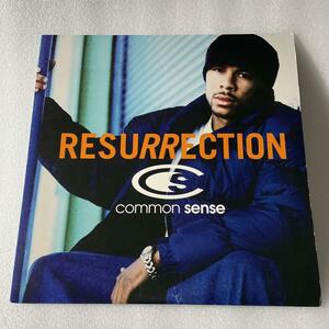 COMMON SENSE / RESURRECTION / USオリジナル / d'angelo roots jdilla jaydee erykah badu gang starr pete rock