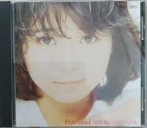 沢田聖子　Potential♪CD♪