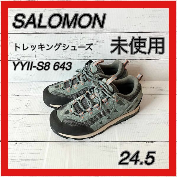 【未使用】 SALOMON トレッキングシューズ 24.5