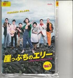 DVD レンタル版 　全5巻セット　ケースなし　崖っぷちのエリー この世でいちばん大事な「カネ」の話 山田優 小泉孝太郎