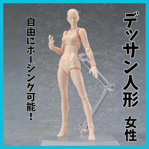 デッサン人形　女性　肌色 デラックスセット デッサンモデル 人体模型 画材