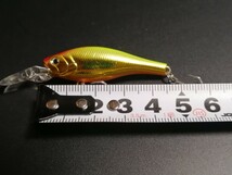 バスデイ　管極 shad カンゴクシャッド　管極シャッド　レッド　イエロー　ゴールド_画像6