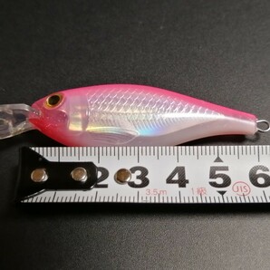 ラパラ X-RAP SHAD エックスラップ シャッド 6cm 7gの画像6