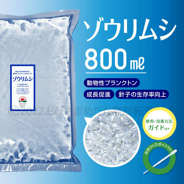 特濃縮【ゾウリムシ　種水　増量　800ml】めだか　メダカ　針子　エサ 稚魚　psb　 金魚　ミジンコ　クロレラ　ミドリムシ スポイト付き