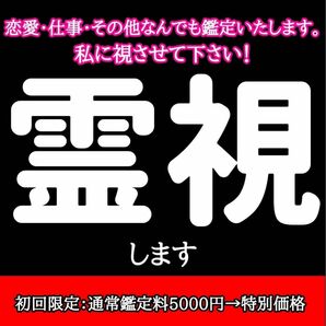 【あなたを導く】霊視 タロット占い　恋愛/仕事/結婚/人生　悩み解決します