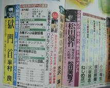 ☆15A■小説宝石　1995年12月号■松田優作、果たせなかった約束/影山莉菜/井沢満/赤松光夫/田中雅美/渡辺利弥/風戸遊/川上紅一朗_画像4