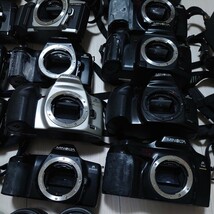 ミノルタ minolta オートフォーカス プラカメ まとめ売り まとめて 大量セット ジャンク品 一眼レフカメラ フィルムカメラ AFMJ1_画像7