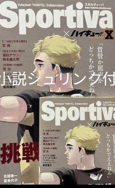 ハイキュー ショーセツバン Sportiva コラボ アニメイト 特典 ビジュアルボード 小説 宮 侑