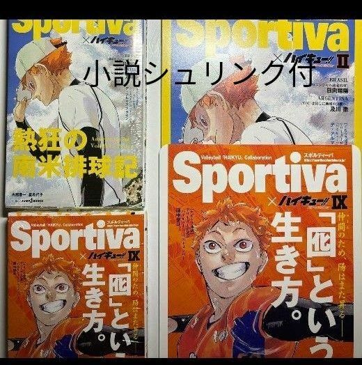 ハイキュー ショーセツバン Sportiva コラボアニメイト特典ビジュアルボード小説　日向　翔陽