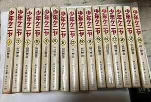 ★★バラ売り可能　 少年ケニア 　１６冊セット価格　 山川惣治 角川文庫