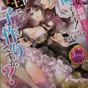 『異世界で淫乱悪女と誤解されて困ってます! 　絶倫魔王さまと子作りですかっ?』 　 葉月 エリカ/ジュエルブックス（小説・単行本）