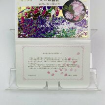 1円~ 桜の通り抜け貨幣セット 今年の花 福禄寿 ミントセット 1998年 平成10年 額面666円 銀約4.39g 記念硬貨 銀メダル 日本桜花 MS1998_画像2