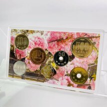 1円~ 桜の通り抜け貨幣セット 今年の花 大手毬 ミントセット 2006年 平成18年 額面666円 銀約4.39g 記念硬貨 銀メダル 日本桜花 MS2006_画像6