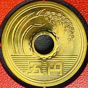 1円~ 1996年 平成8年 通常 ミントセット 貨幣セット 額面6660円 記念硬貨 記念貨幣 貨幣組合 コイン coin M1996_10の画像7