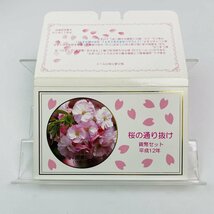 1円~ 桜の通り抜け貨幣セット 今年の花 楊貴妃 ミントセット 2000年 平成12年 額面166円 銀約4.39g 記念硬貨 銀メダル 日本桜花 MS2000_画像1