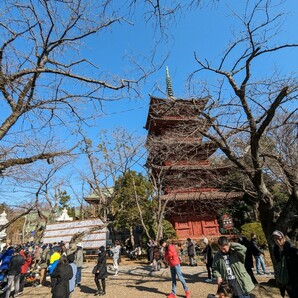 結構早めに対応 相互評価 1円 画像の画像1