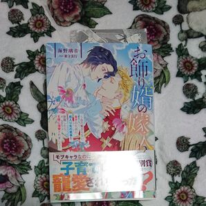 お飾り婿の嫁入り 血の繋がらない息子のために婿入り先の悪事を暴露したら、王様に溺愛されました 海野璃音 特典付き SSカード