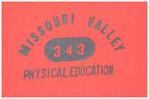 【送料無料】60s ウィルトン カプセルナンバー MISSOURI VALLEY PE ヴィンテージTシャツ WILTON サイズM 古着 @BZ0184_画像3