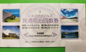 Kyushu Intra, Tanegashima, Weekdays Limited Iwasaki Hotels Common Commonation Coupon до 2024.6.30