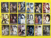 女子プロレス　カードコレクション　スペシャル　16枚　プロモ　8枚　ノーマル　99枚_画像6