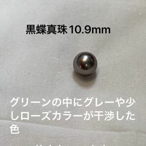 黒蝶真珠10.9mm