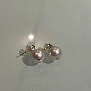 原2【1円スタート】アコヤ真珠 SILVER ネックレス Pt900 ピアス 鑑別書付 鈴乃屋 SUZUNOYA JEWELRY 保証書付8.5-9mm パール アクセサリーの画像6