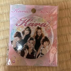 韓流 グッズセット　KARA 缶バッジ