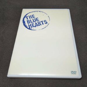 セル版 DVD ブルーハーツが聴こえない HISTORY OF THE BLUE HEARTS / ed257の画像1