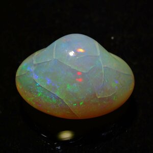 [ high quality ] shell opal good quality grade 8.41ct. color rare fossil [ ultra rare ] product number :2403055