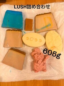 LUSH詰め合わせ605g