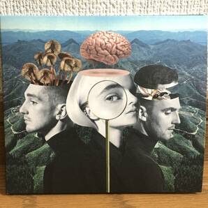 Clean Bandit / What Is Love? Deluxe Edition 豪華ゲスト参加 傑作 国内盤18曲収録 帯付 Zara Larsson / Sean Paul / Rita Ora / KYLEの画像1