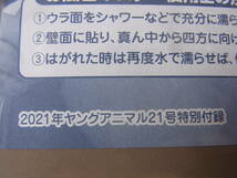 ●＜中古＞ お風呂ポスター　都丸紗也華　2021年ヤングアニマル21号特別付録　送料140円_画像4