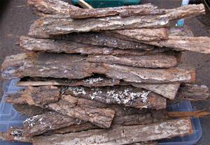 薪の木の皮（端材）● 自然乾燥薪 の木の皮 ◎1０kg ￥600！◎着火時や昆虫飼育などに！
