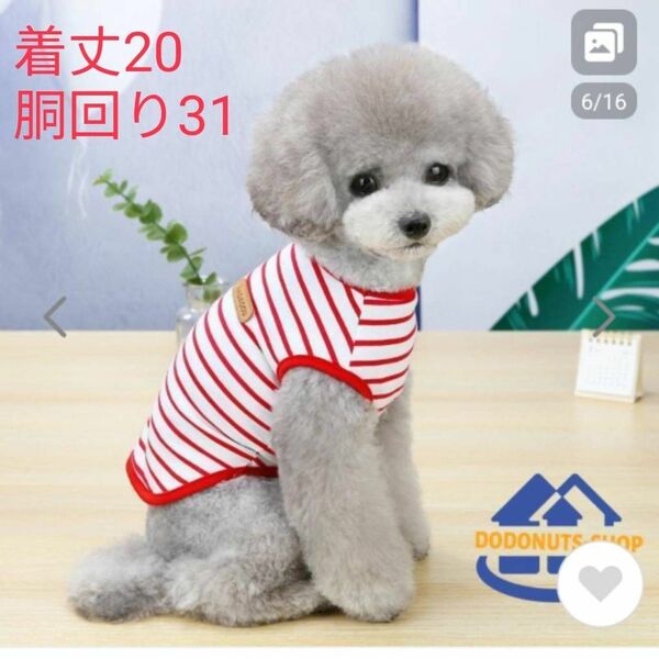 新品　犬　服　ドッグウェア　ボーダー　赤　レッド　S