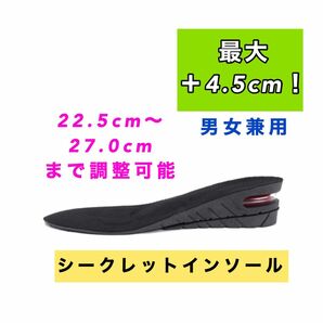 【お買い得】シークレットインソール　プラス4.5cm 男女兼用　衝撃吸収　 中敷き　エアーキャップ　脚長効果　美脚効果　新品