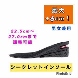 【お買い得】シークレットインソール　プラス6cm 男女兼用　衝撃吸収　 中敷き　エアーキャップ　脚長効果　美脚効果　新品