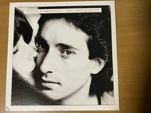 LP:DAVID POMERANZ/THE TRUTH OF US