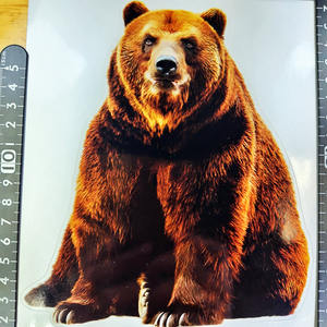 くま メタリックベース ステッカー17.5x15(cm) Bear07　　 [熊 ベアー 野生 動物 自然 山 アウトドア]