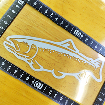 ニジマス ステッカー 16.5×7.5(cm) 【Silver】RA13S　　 　[フライ 毛針 釣り 魚 鱒 フィッシング ニジマス レインボー トラウト]_画像2