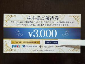 ビジョン 株主優待 3,000円 2024年3月送付利用券