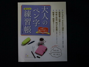 ★★　良好　送料込み　★★　書き込み式　大人のペン字練習帳　日本書蒼院主宰　谷蒼涯　★★