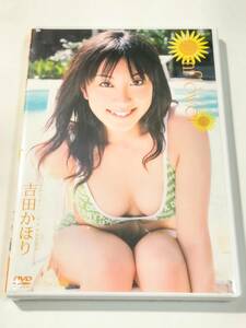 【未開封DVD】吉田かほり Sunflower ひまわり