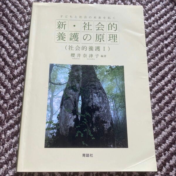 新・社会的養護の原理