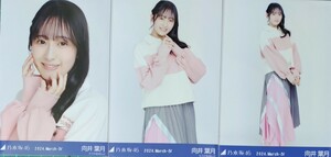 乃木坂46　生写真　３種コンプ　向井葉月　ラガーシャツ