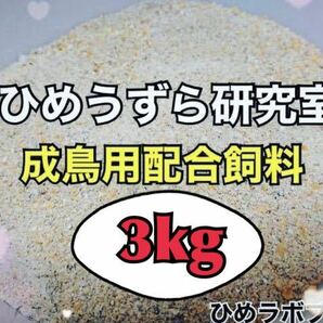 3kg ひめうずら配合飼料 姫鶉 ひめうずら餌 ヒメウズラ 成鳥用 ひめうずら成鳥用配合飼料 鳥の画像1