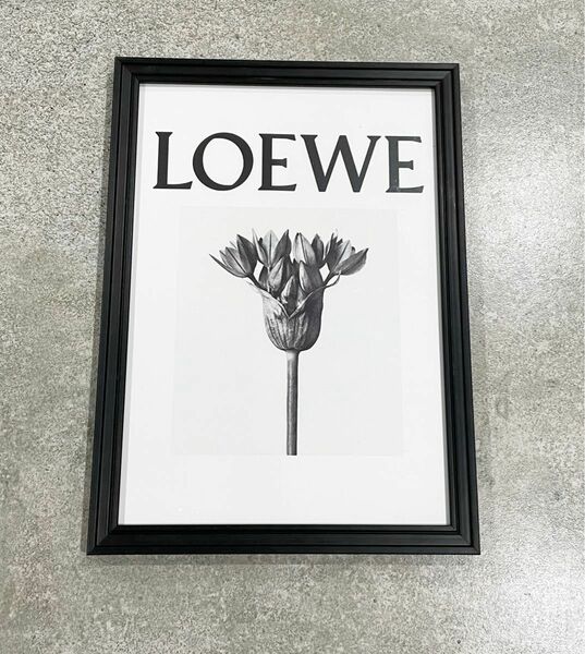 A4サイズ　インテリアポスター　LOEWE